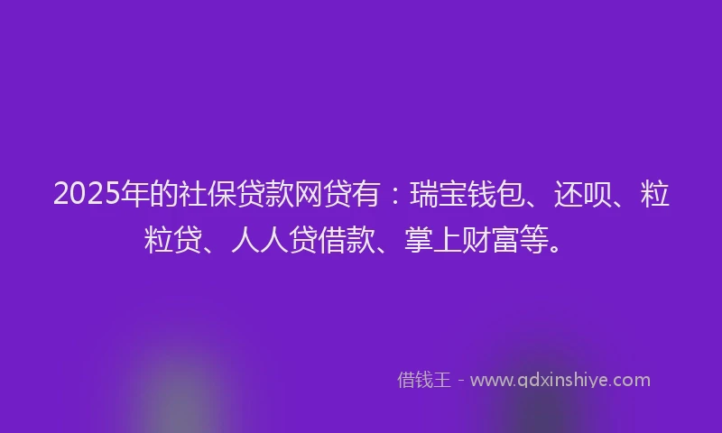 2025年的社保贷款网贷有：瑞宝钱包、还呗、粒粒贷、人人贷借款、掌上财富等。