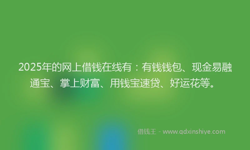 2025年的网上借钱在线有：有钱钱包、现金易融通宝、掌上财富、用钱宝速贷、好运花等。