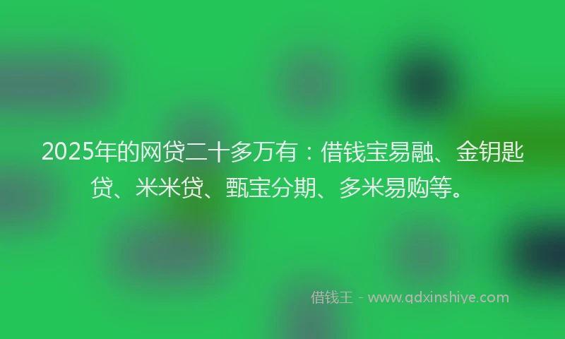 2025年的网贷二十多万有：借钱宝易融、金钥匙贷、米米贷、甄宝分期、多米易购等。