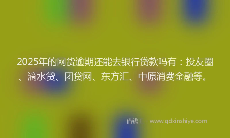 2025年的网货逾期还能去银行贷款吗有：投友圈、滴水贷、团贷网、东方汇、中原消费金融等。
