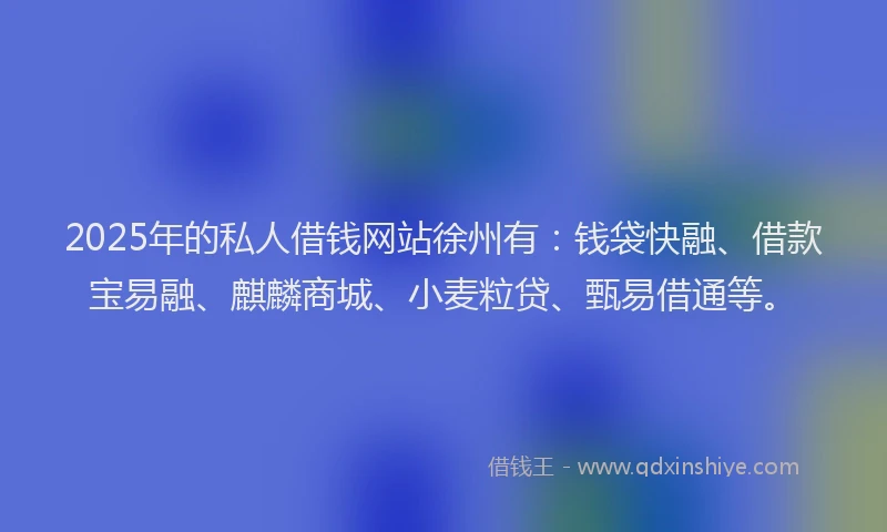 2025年的私人借钱网站徐州有：钱袋快融、借款宝易融、麒麟商城、小麦粒贷、甄易借通等。