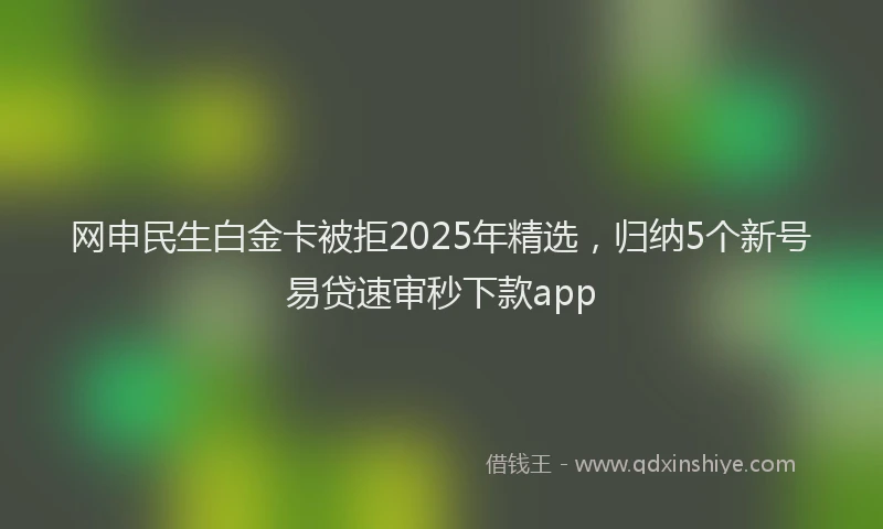 网申民生白金卡被拒2025年精选，归纳5个新号易贷速审秒下款app
