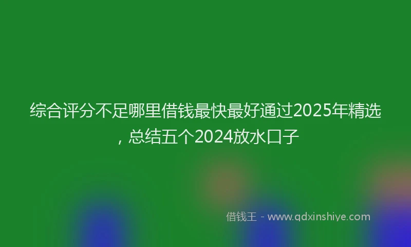综合评分不足哪里借钱最快最好通过2025年精选，总结五个2024放水口子