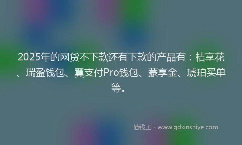 2025年的网货不下款还有下款的产品有：桔享花、瑞盈钱包、翼支付Pro钱包、蒙享金、琥珀买单等。