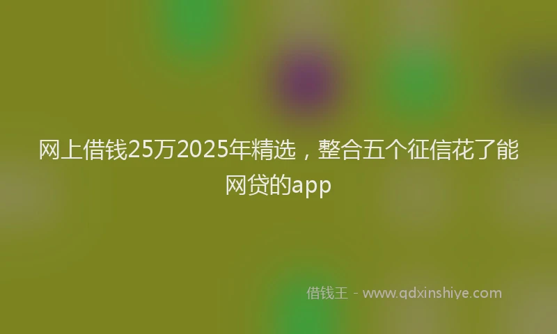 网上借钱25万2025年精选，整合五个征信花了能网贷的app