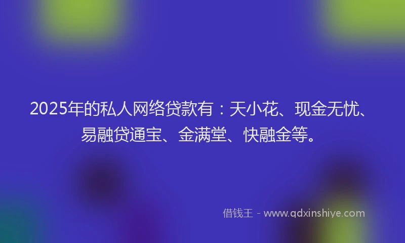 2025年的私人网络贷款有：天小花、现金无忧、易融贷通宝、金满堂、快融金等。