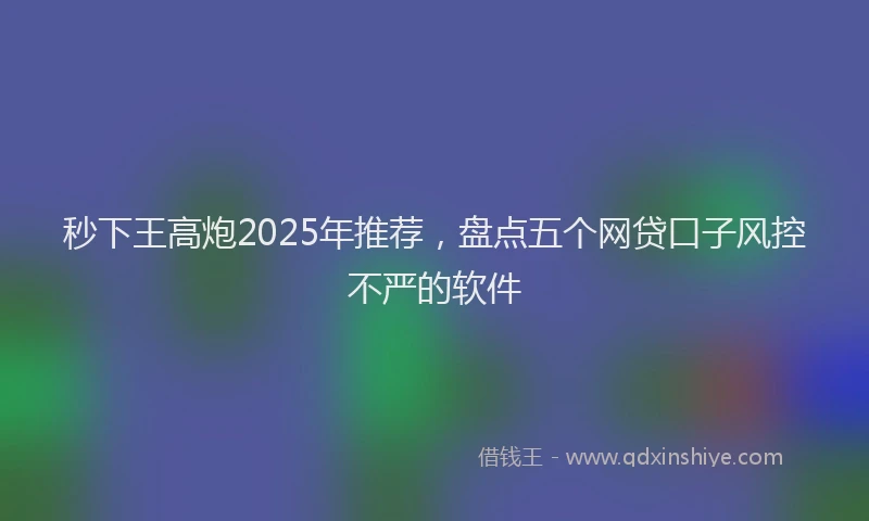 秒下王高炮2025年推荐，盘点五个网贷口子风控不严的软件