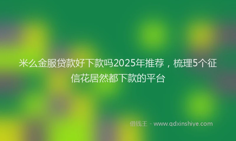 米么金服贷款好下款吗2025年推荐，梳理5个征信花居然都下款的平台