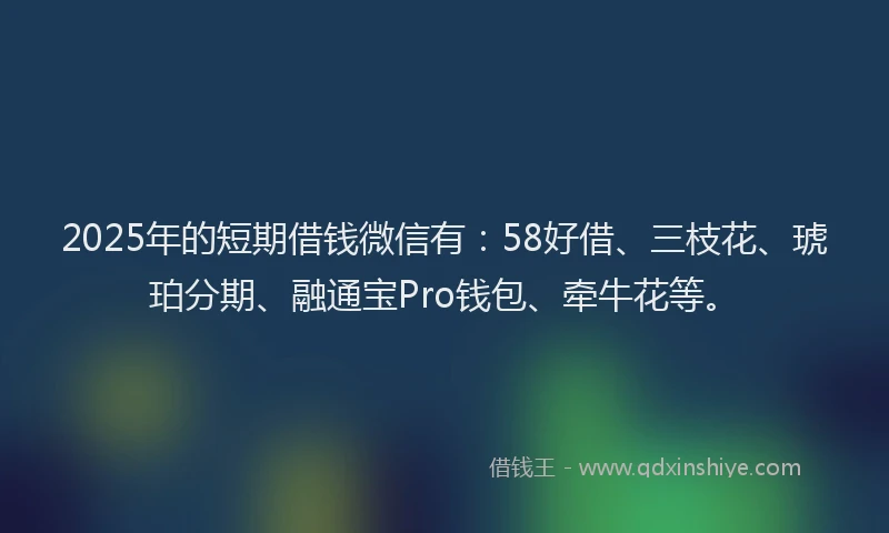 2025年的短期借钱微信有：58好借、三枝花、琥珀分期、融通宝Pro钱包、牵牛花等。