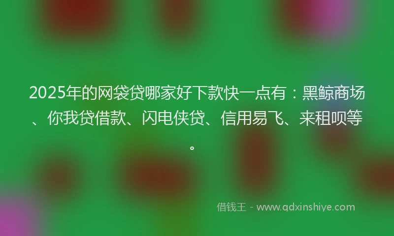 2025年的网袋贷哪家好下款快一点有：黑鲸商场、你我贷借款、闪电侠贷、信用易飞、来租呗等。
