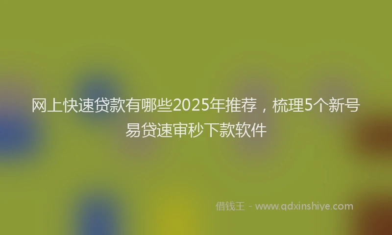 网上快速贷款有哪些2025年推荐，梳理5个新号易贷速审秒下款软件