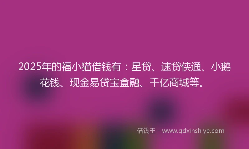 2025年的福小猫借钱有：星贷、速贷侠通、小鹅花钱、现金易贷宝盒融、千亿商城等。