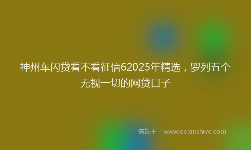 神州车闪贷看不看征信62025年精选，罗列五个无视一切的网贷口子