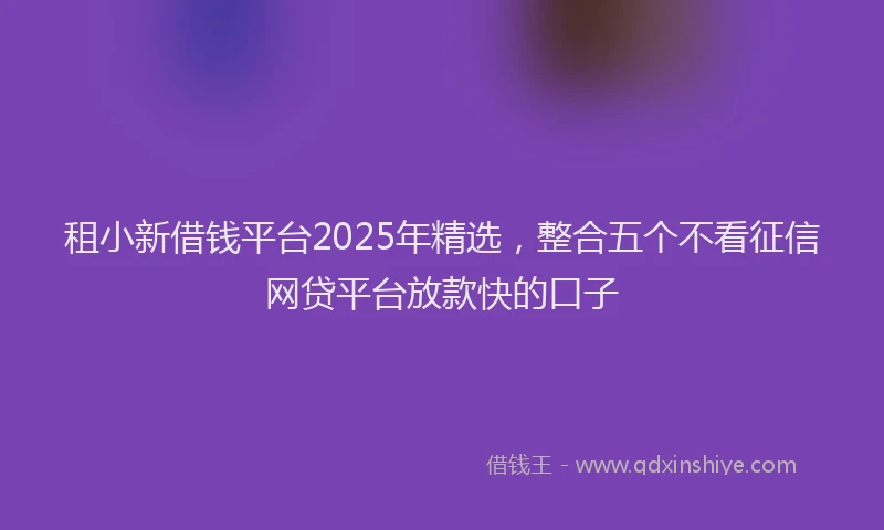 租小新借钱平台2025年精选，整合五个不看征信网贷平台放款快的口子