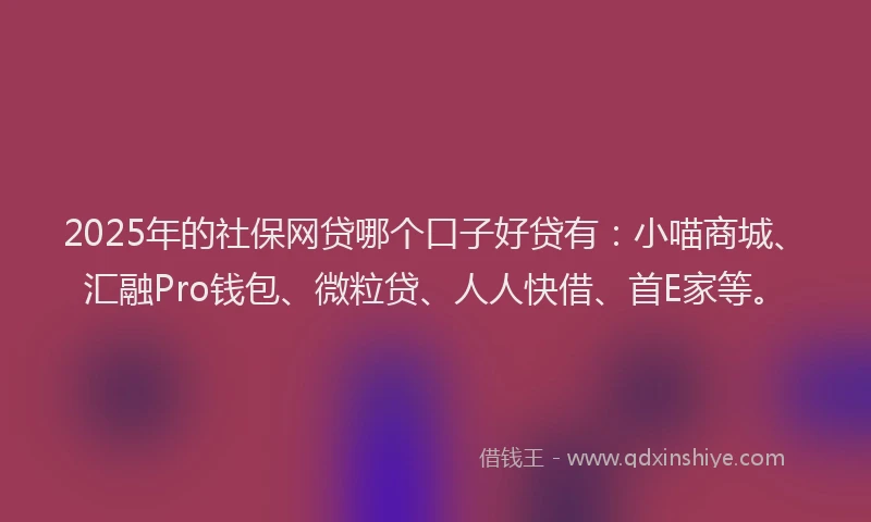 2025年的社保网贷哪个口子好贷有：小喵商城、汇融Pro钱包、微粒贷、人人快借、首E家等。