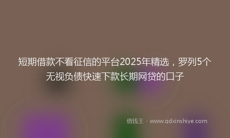 短期借款不看征信的平台2025年精选，罗列5个无视负债快速下款长期网贷的口子