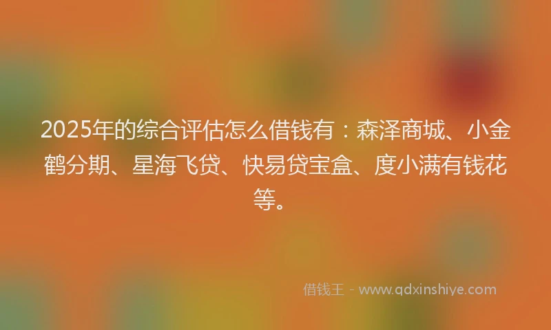 2025年的综合评估怎么借钱有：森泽商城、小金鹤分期、星海飞贷、快易贷宝盒、度小满有钱花等。