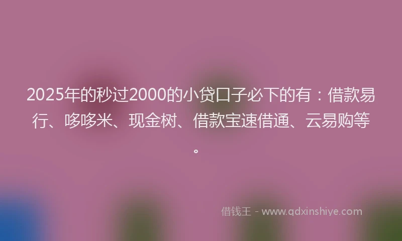 2025年的秒过2000的小贷口子必下的有：借款易行、哆哆米、现金树、借款宝速借通、云易购等。