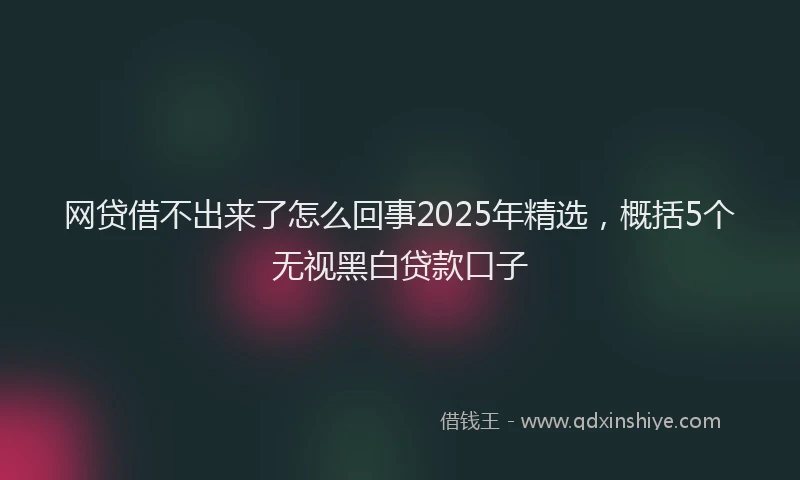网贷借不出来了怎么回事2025年精选，概括5个无视黑白贷款口子