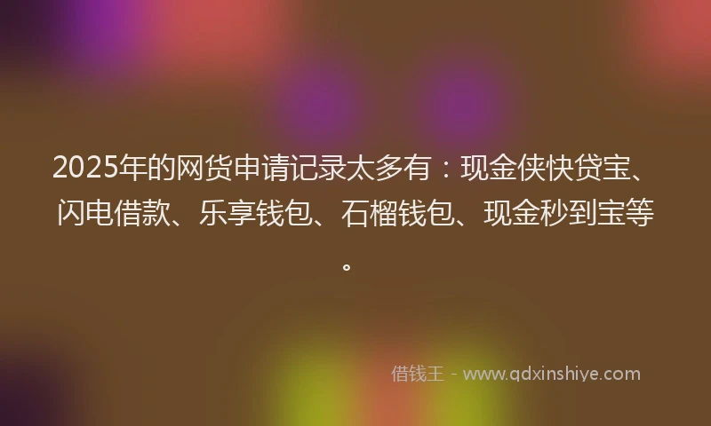 2025年的网货申请记录太多有：现金侠快贷宝、闪电借款、乐享钱包、石榴钱包、现金秒到宝等。