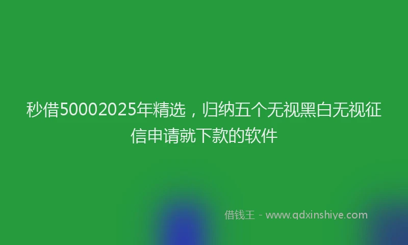 秒借50002025年精选，归纳五个无视黑白无视征信申请就下款的软件