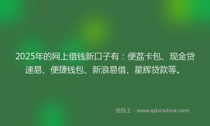 2025年的网上借钱新口子有：便荔卡包、现金贷速易、便捷钱包、新浪易借、星辉贷款等。