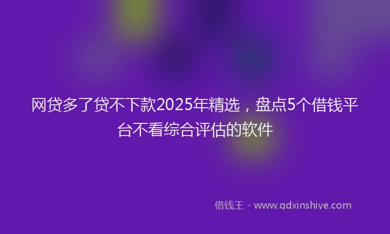 网贷多了贷不下款2025年精选，盘点5个借钱平台不看综合评估的软件