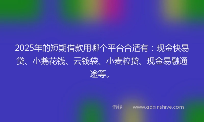 2025年的短期借款用哪个平台合适有：现金快易贷、小鹅花钱、云钱袋、小麦粒贷、现金易融通途等。