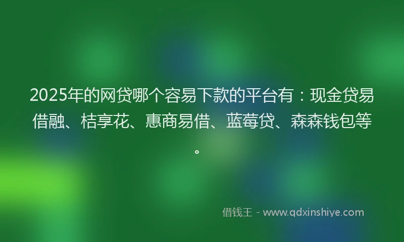 2025年的网贷哪个容易下款的平台有：现金贷易借融、桔享花、惠商易借、蓝莓贷、森森钱包等。