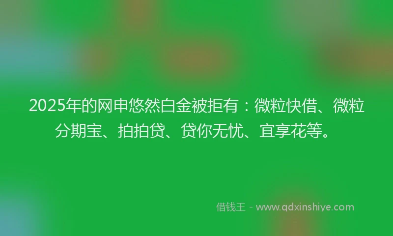 2025年的网申悠然白金被拒有：微粒快借、微粒分期宝、拍拍贷、贷你无忧、宜享花等。