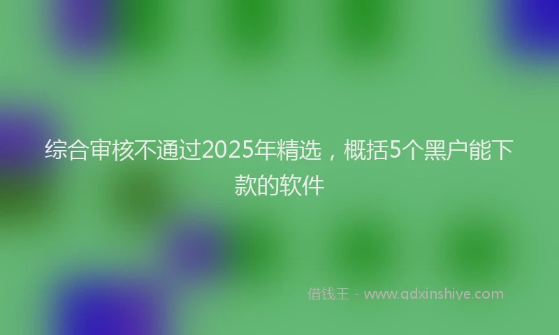 综合审核不通过2025年精选，概括5个黑户能下款的软件