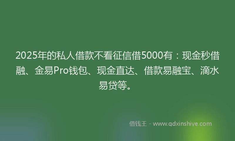 2025年的私人借款不看征信借5000有：现金秒借融、金易Pro钱包、现金直达、借款易融宝、滴水易贷等。