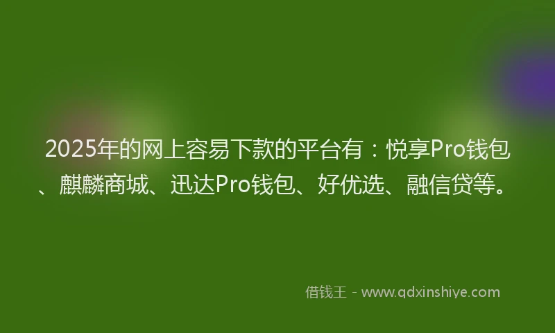 2025年的网上容易下款的平台有：悦享Pro钱包、麒麟商城、迅达Pro钱包、好优选、融信贷等。