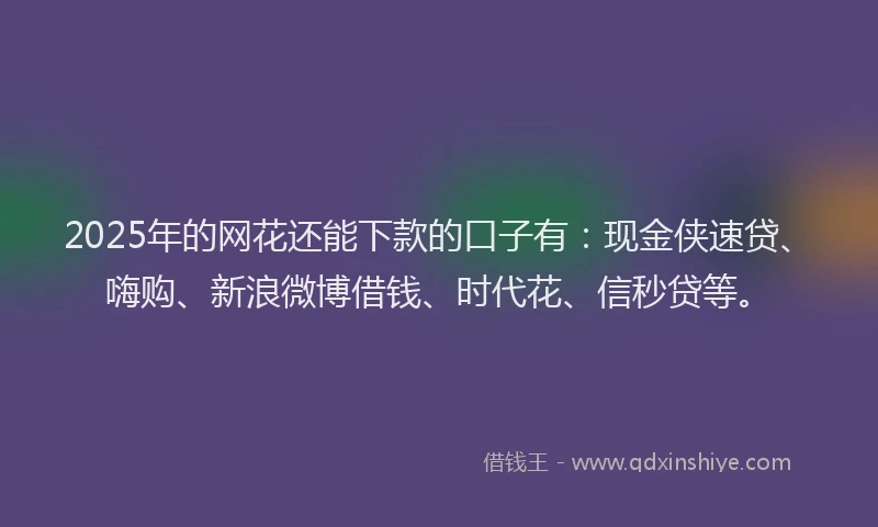 2025年的网花还能下款的口子有：现金侠速贷、嗨购、新浪微博借钱、时代花、信秒贷等。