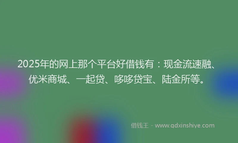 2025年的网上那个平台好借钱有：现金流速融、优米商城、一起贷、哆哆贷宝、陆金所等。