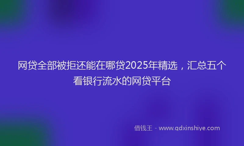 网贷全部被拒还能在哪贷2025年精选，汇总五个看银行流水的网贷平台