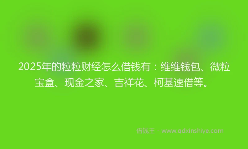 2025年的粒粒财经怎么借钱有：维维钱包、微粒宝盒、现金之家、吉祥花、柯基速借等。