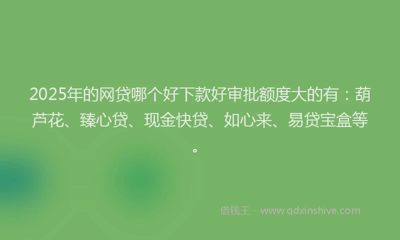 2025年的网贷哪个好下款好审批额度大的有：葫芦花、臻心贷、现金快贷、如心来、易贷宝盒等。