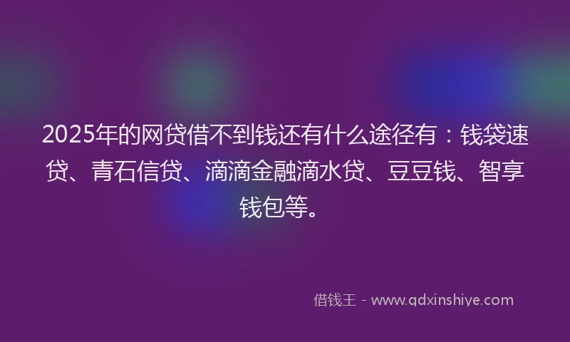 2025年的网贷借不到钱还有什么途径有：钱袋速贷、青石信贷、滴滴金融滴水贷、豆豆钱、智享钱包等。