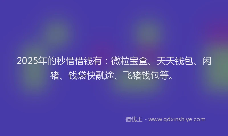 2025年的秒借借钱有：微粒宝盒、天天钱包、闲猪、钱袋快融途、飞猪钱包等。