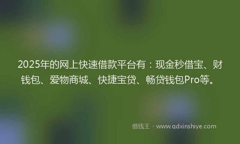 2025年的网上快速借款平台有：现金秒借宝、财钱包、爱物商城、快捷宝贷、畅贷钱包Pro等。