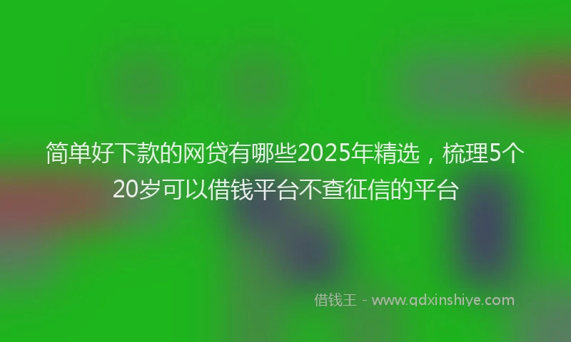 简单好下款的网贷有哪些2025年精选，梳理5个20岁可以借钱平台不查征信的平台