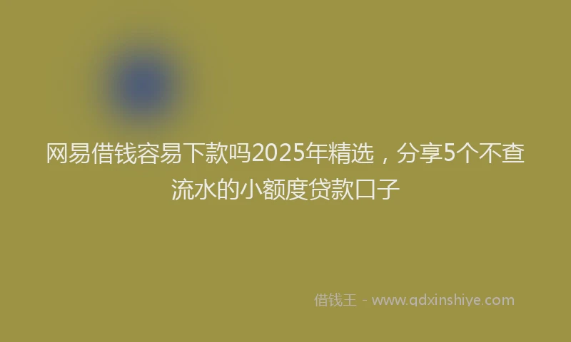 网易借钱容易下款吗2025年精选，分享5个不查流水的小额度贷款口子