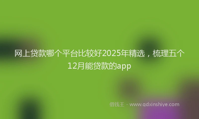 网上贷款哪个平台比较好2025年精选，梳理五个12月能贷款的app