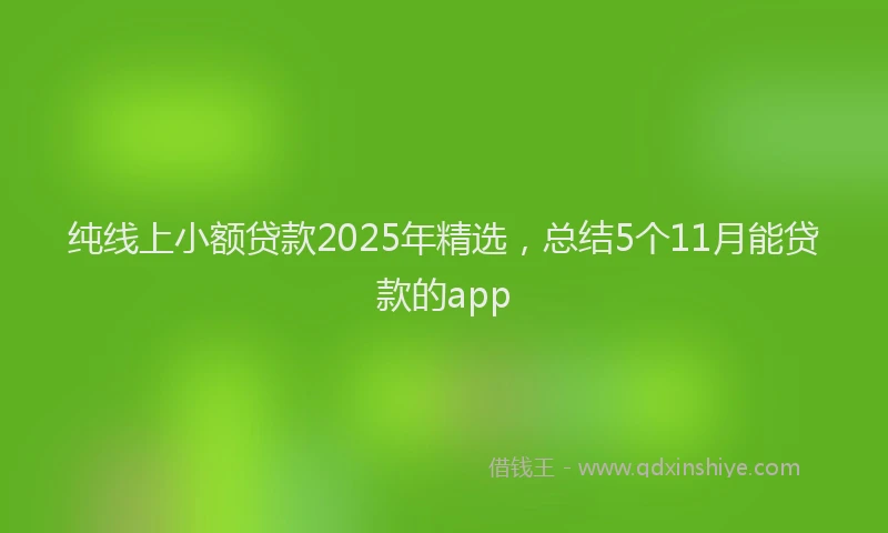 纯线上小额贷款2025年精选，总结5个11月能贷款的app