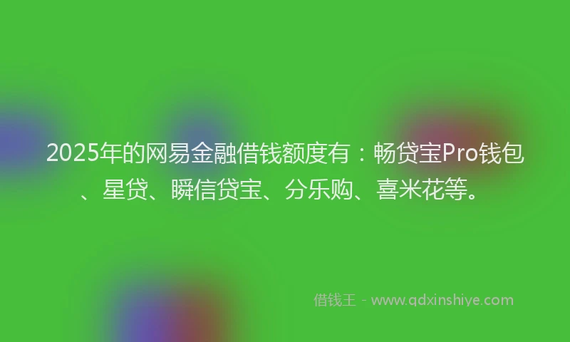2025年的网易金融借钱额度有：畅贷宝Pro钱包、星贷、瞬信贷宝、分乐购、喜米花等。