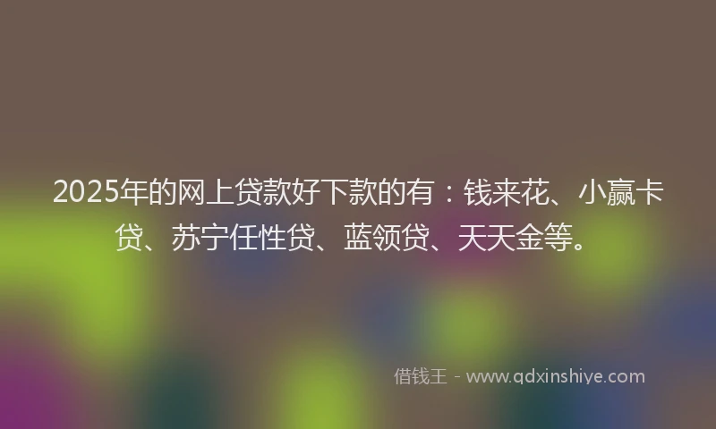 2025年的网上贷款好下款的有：钱来花、小赢卡贷、苏宁任性贷、蓝领贷、天天金等。