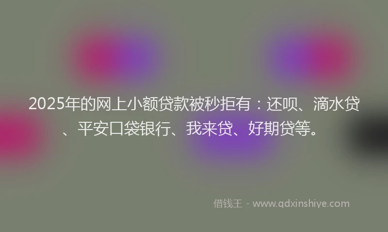 2025年的网上小额贷款被秒拒有：还呗、滴水贷、平安口袋银行、我来贷、好期贷等。