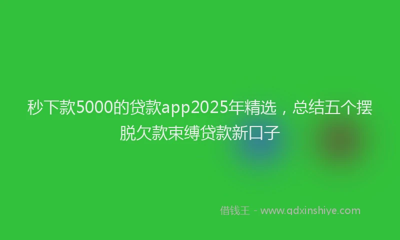 秒下款5000的贷款app2025年精选，总结五个摆脱欠款束缚贷款新口子