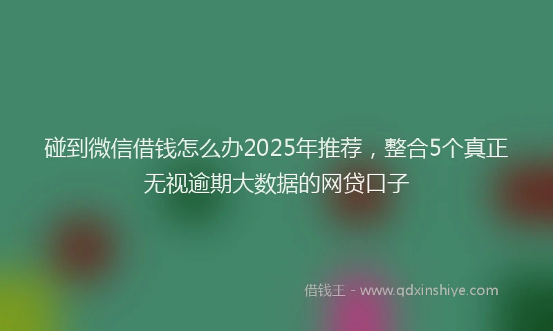 碰到微信借钱怎么办2025年推荐，整合5个真正无视逾期大数据的网贷口子